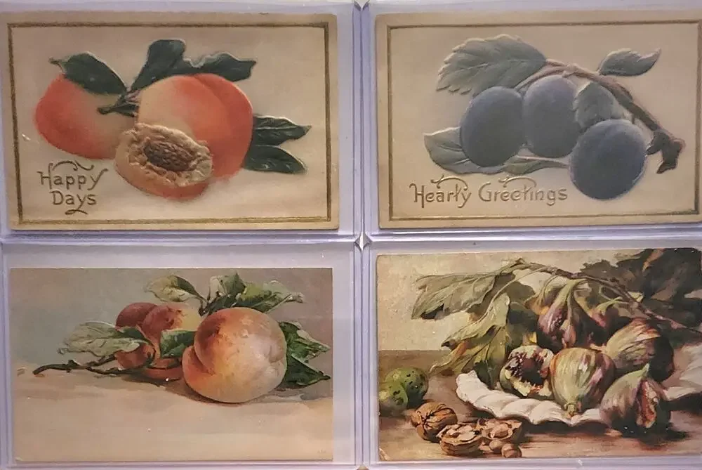 Lot Of Four Vintage Antique Embossed Postcards Fruit